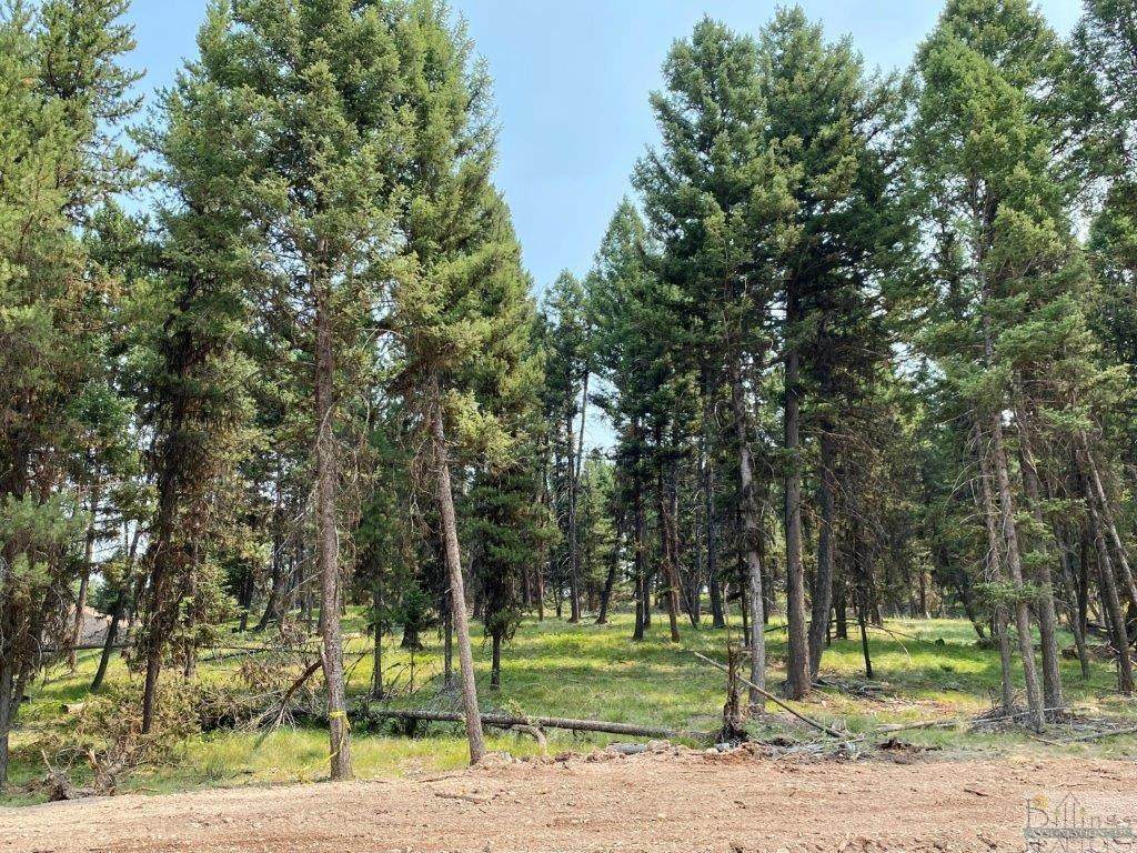 342 Seclusion Point, Seeley Lake - Photo 1