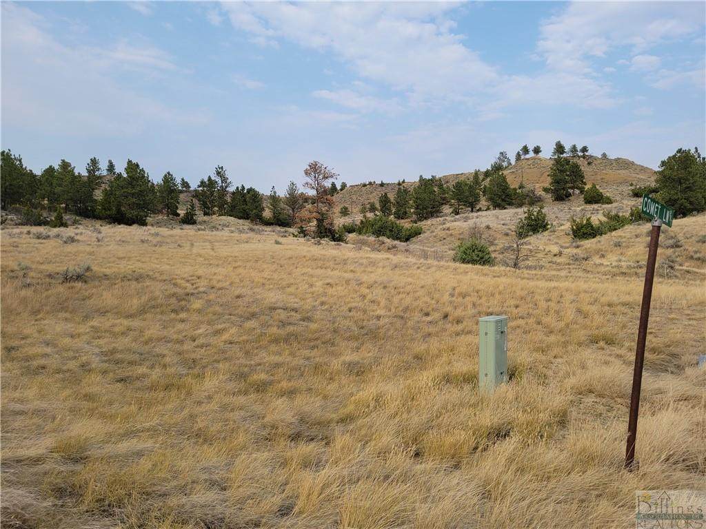 Lot 52 Comet Lane - Photo 1