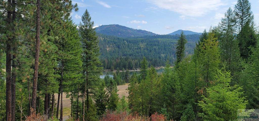 Lot 4, Troy Little Bear Loop Road - Photo 1