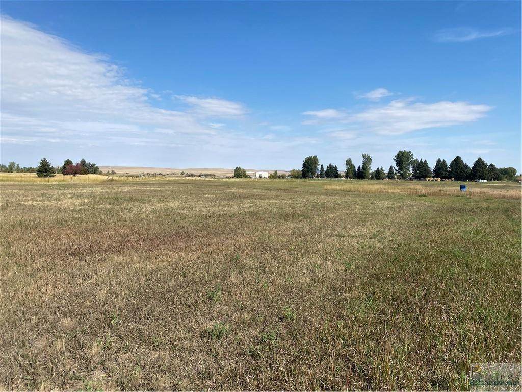 8325 Us Highway 212 (Lot 1) - Photo 1