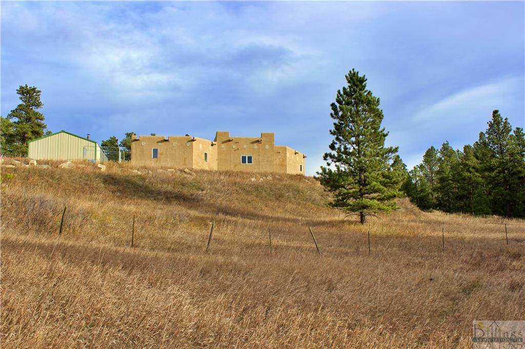 33 Big Buck Trail - Photo 1