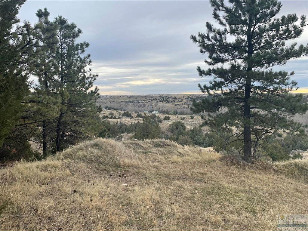 4308 Bowman Drive - Photo 1