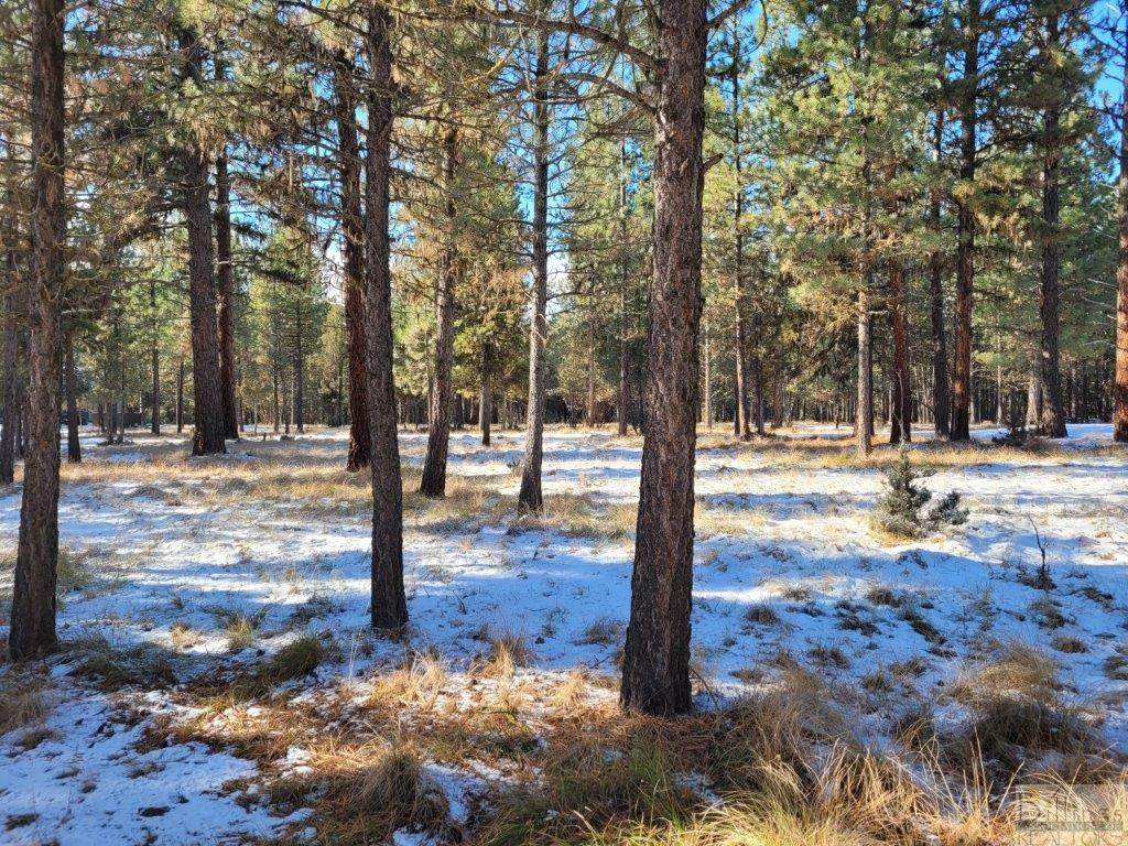 327 Dunham Ct, Seeley Lake - Photo 1