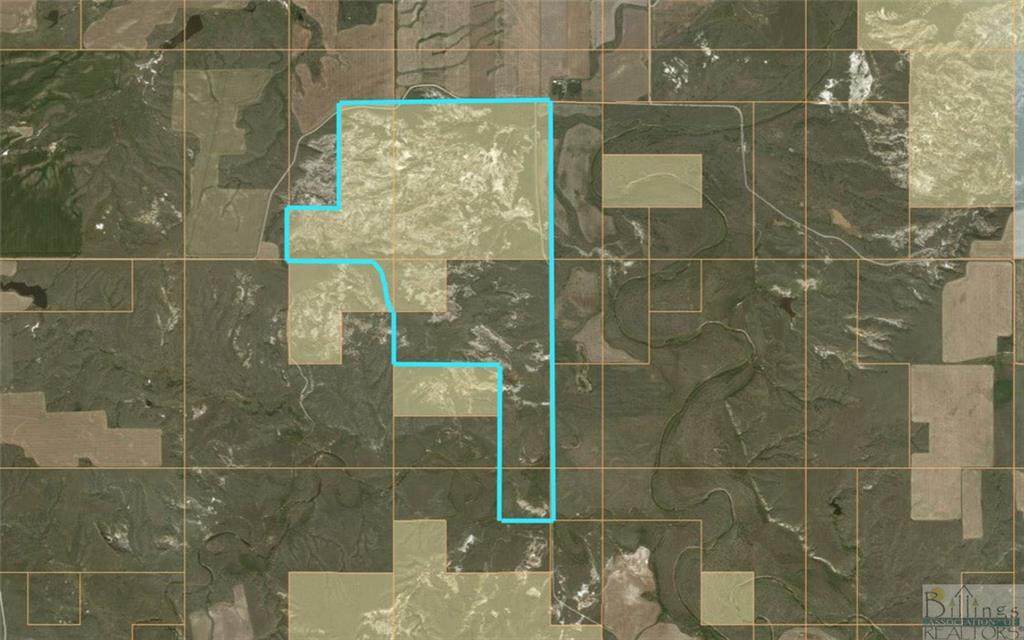 00 Brown Road - Photo 1