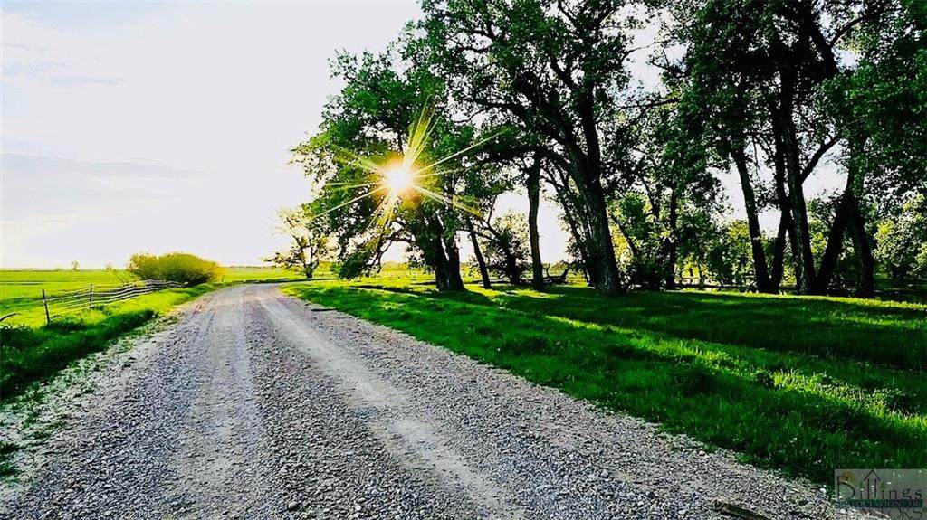 0 Feed Lot Road - Photo 1