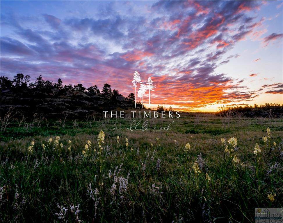 LOT 10 Timbers Boulevard - Photo 1