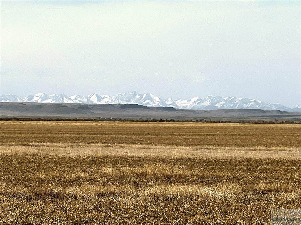 1,400 Acres Rapelje/Molt Rd - Photo 1
