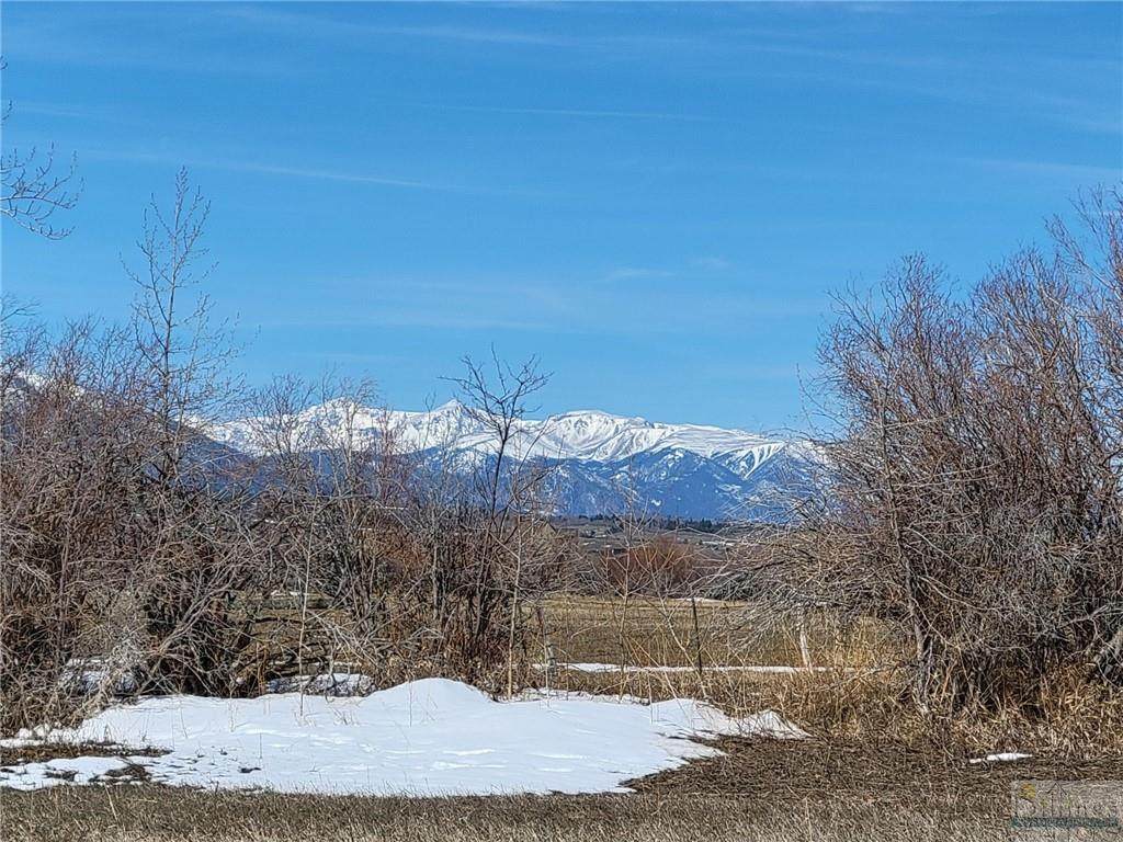 2745 Diamond C Trail - Photo 1