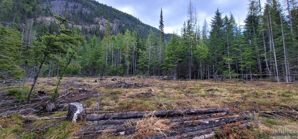 NHN Hwy 56 - Photo 1
