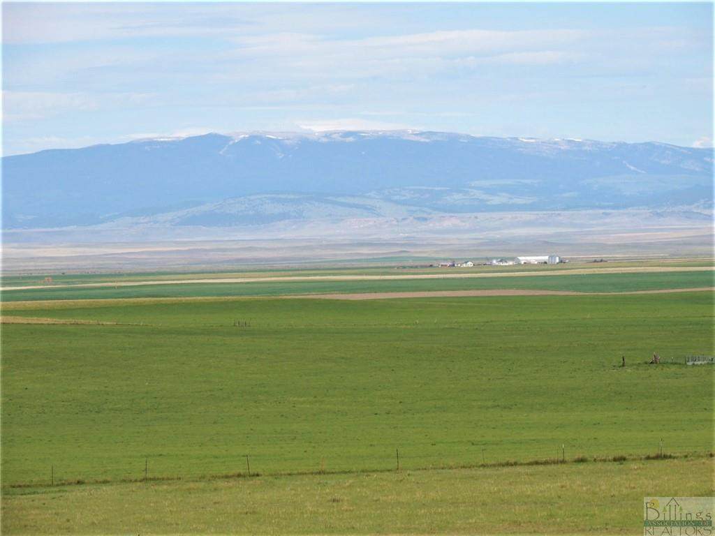 TBD Us Highway 87 N - Photo 1