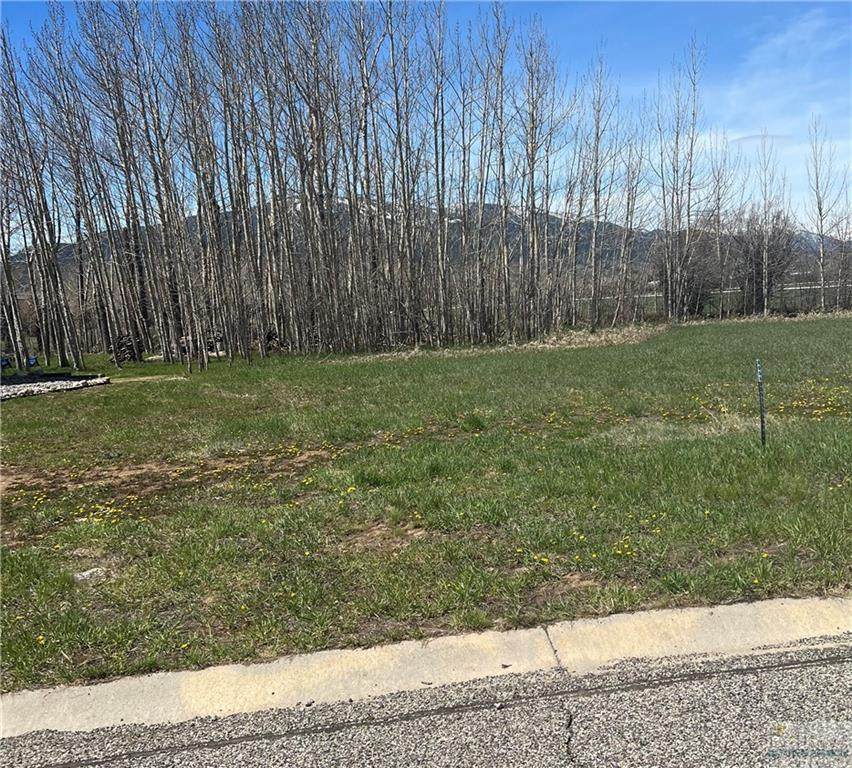 2545 Diamond C Trail - Photo 1
