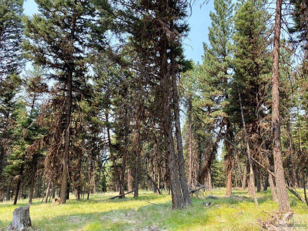 159 Telemark Way, Seeley Lake - Photo 1