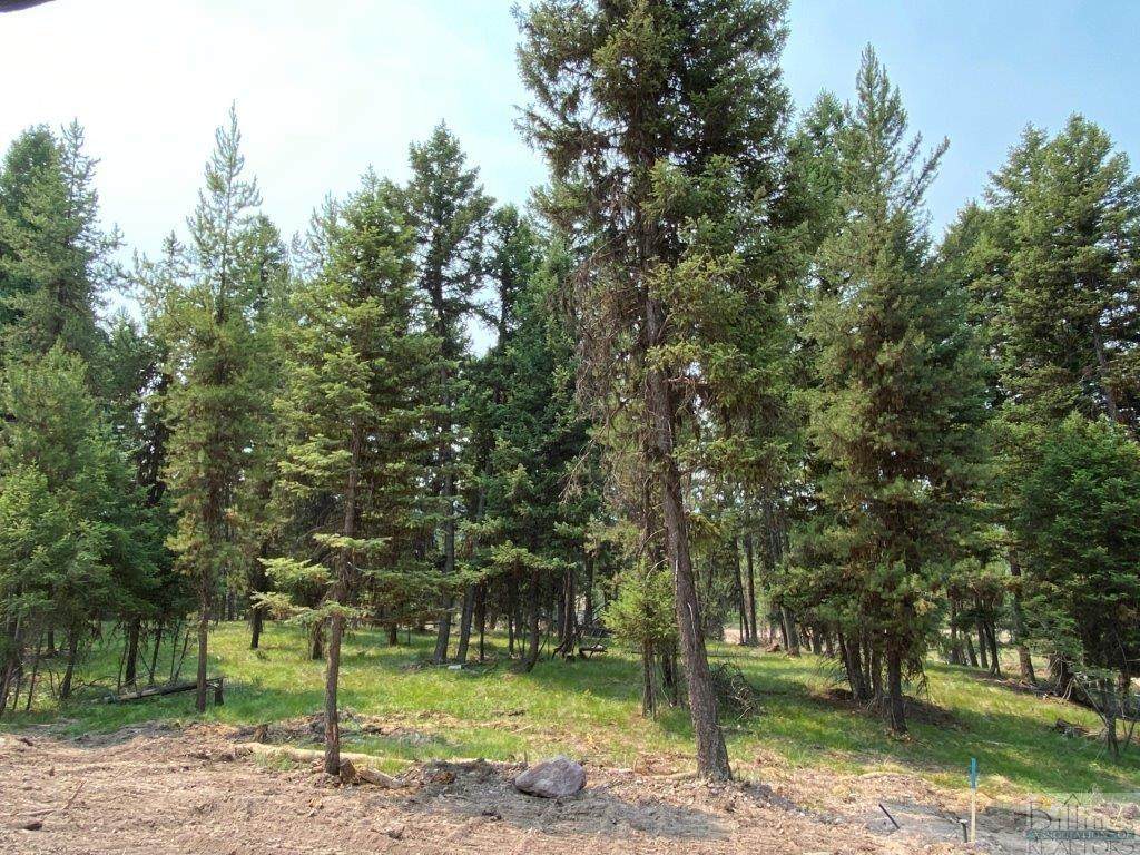 304 Seclusion Point, Seeley Lake - Photo 1