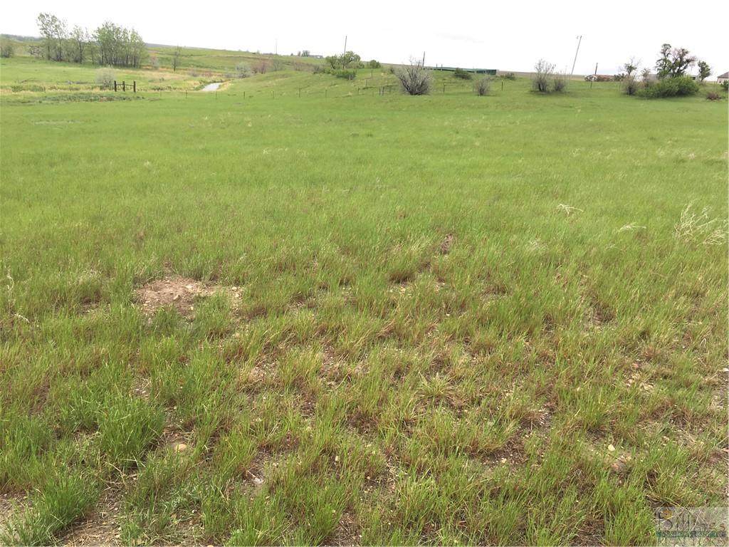 1010 Montana Highway 117 - Photo 1