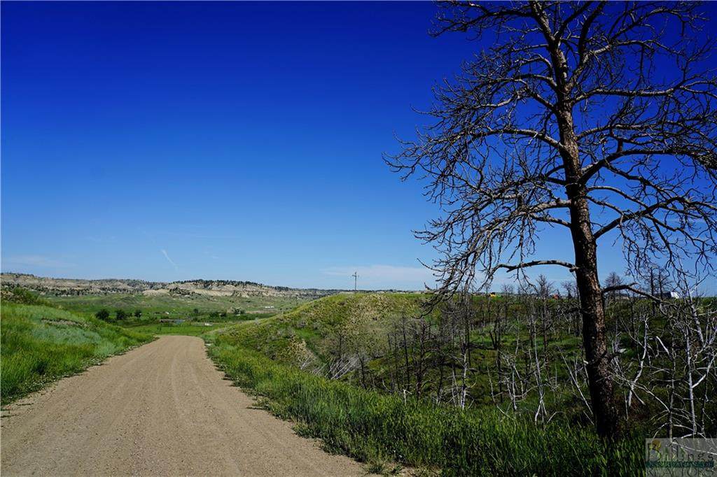7099 Lower River Road - Photo 1