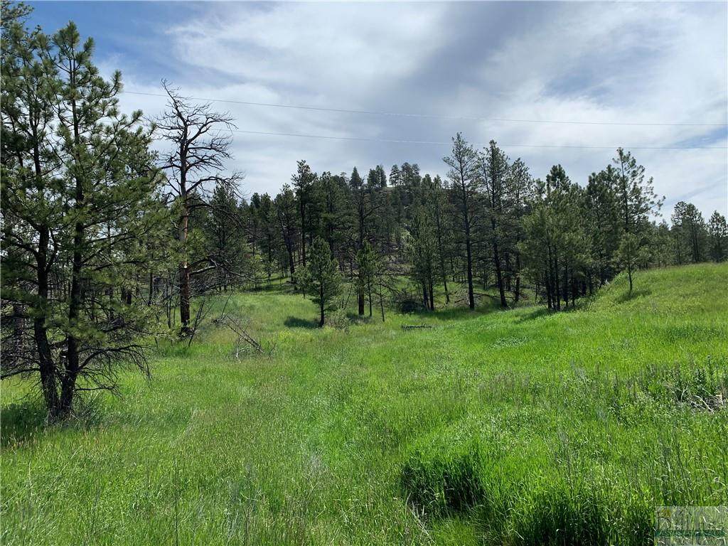 TBD Buckskin Road - Photo 1