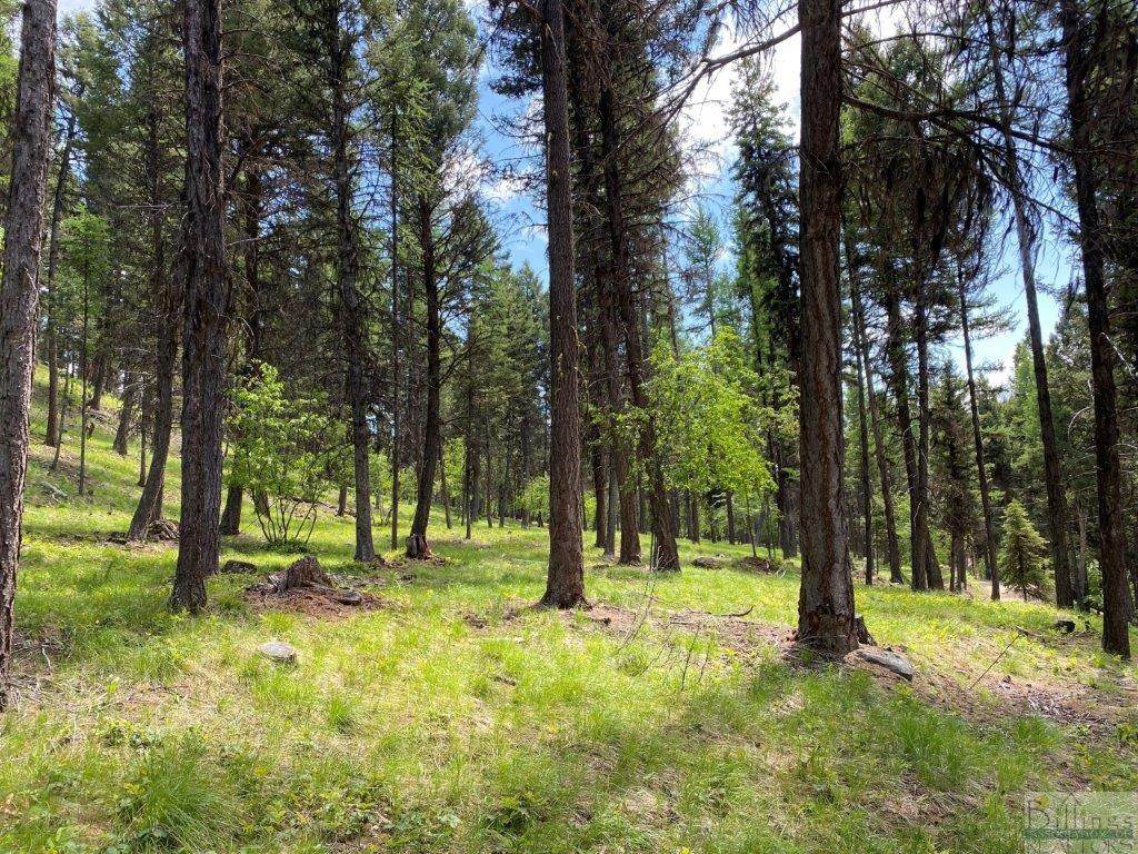 682 Grandview Dr, Seeley Lake - Photo 1