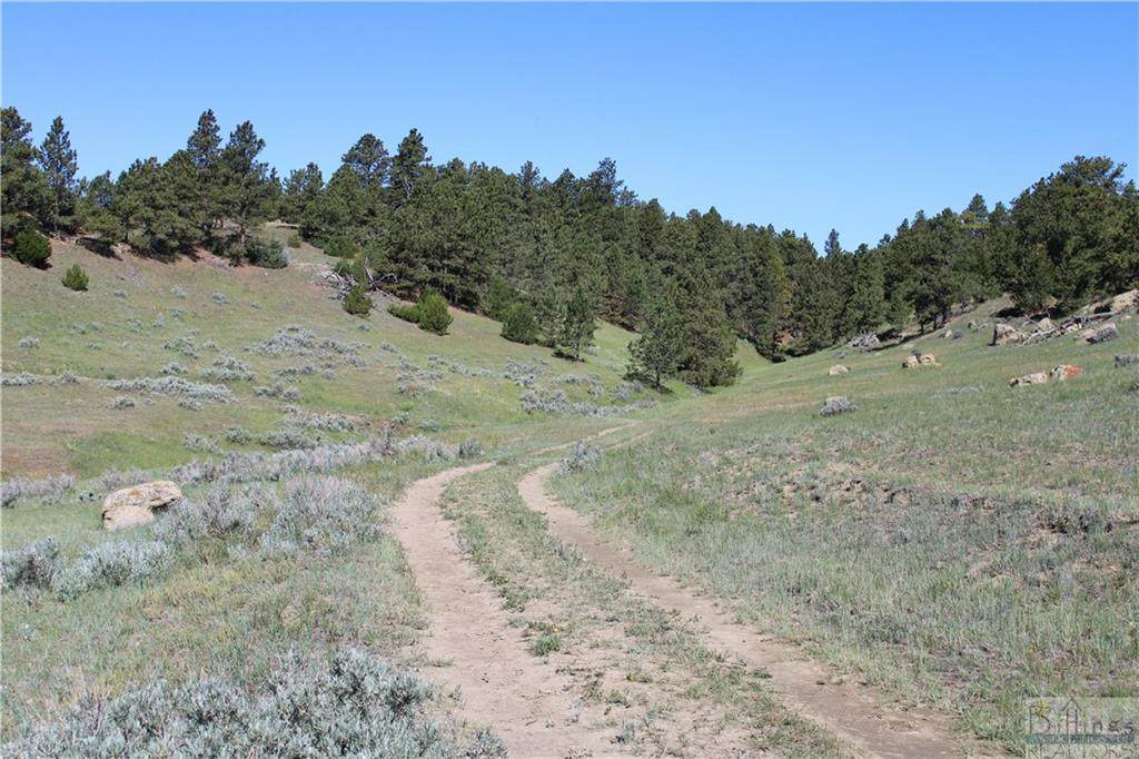 TBD Canyon Rd Lt #49 - Photo 1