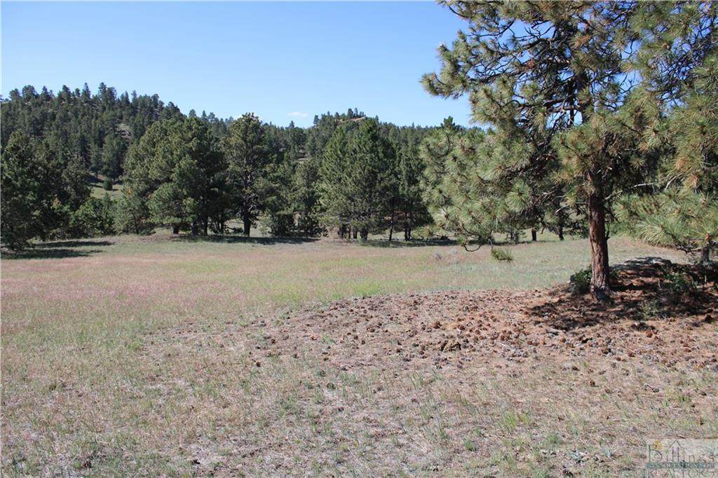 TBD Canyon Dr Tract #48 - Photo 1