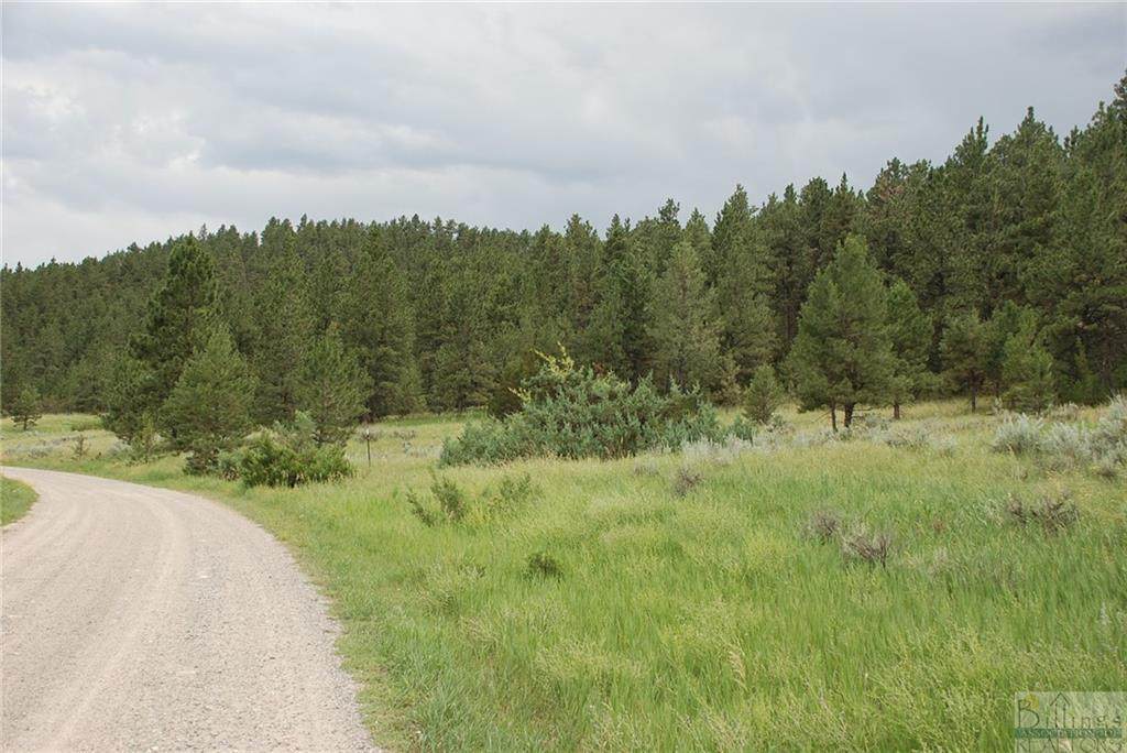 nhn Yellowstone Dr. - Photo 1