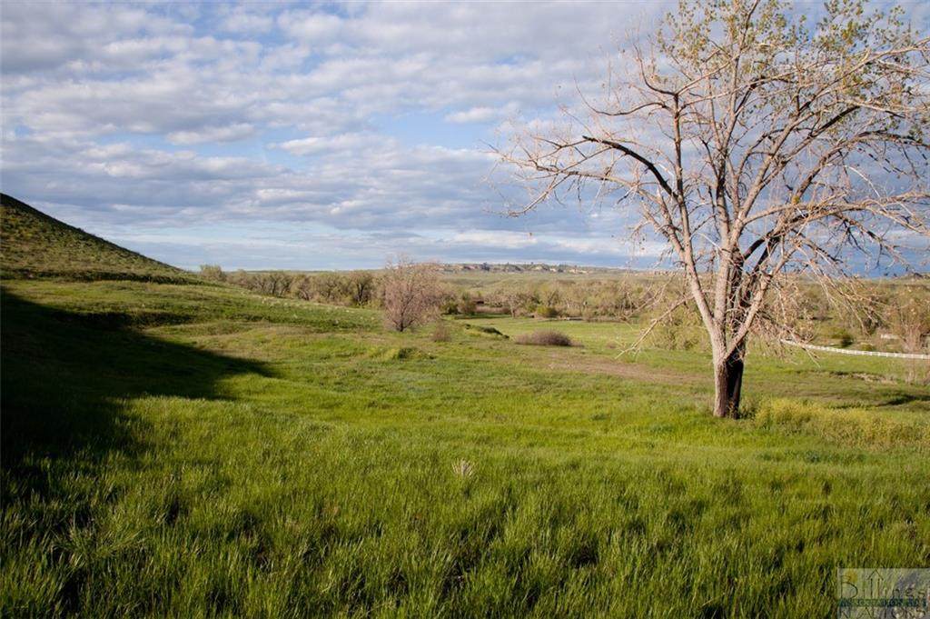 Lot 2 Pryor Creek Road - Photo 1