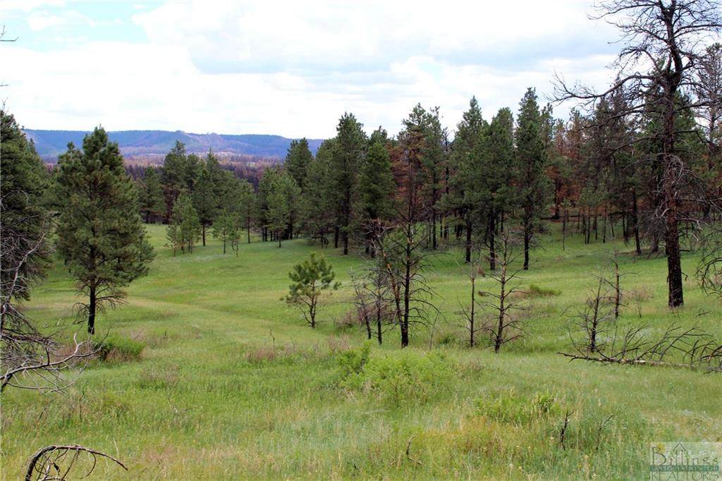 tbd Deer Lane - Photo 1
