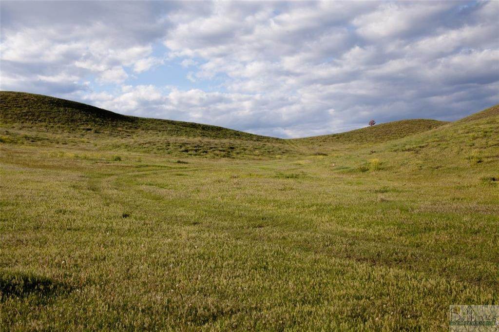 Lot 1 Pryor Creek Road - Photo 1