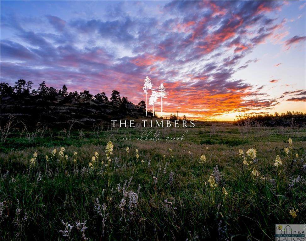 LOT 4 Timbers Boulevard - Photo 1