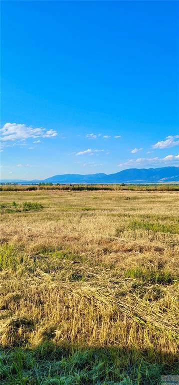 Lot 4A Bison Trail - Photo 1
