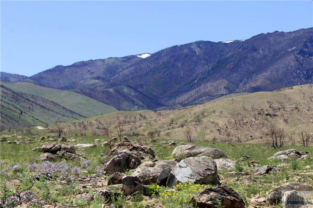 NHN Ruby Creek Road - Photo 1