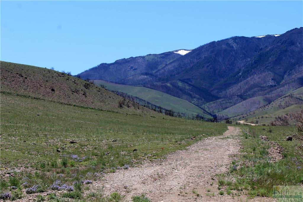 tbd Ruby Creek Road - Photo 1