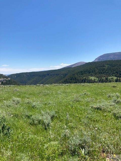 Lot 9 Lazy D Ranch - Photo 1