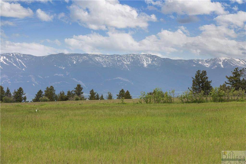 Lot 48 Buttercup Drive - Photo 1