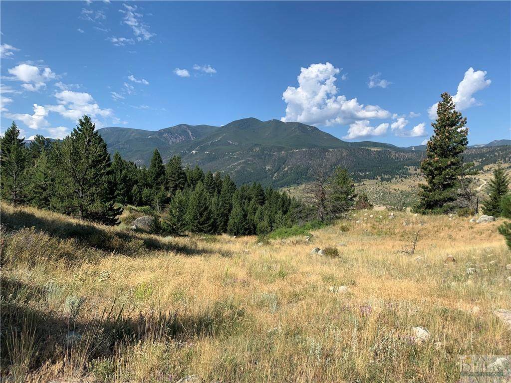 TBD Howard Mountain Road - Photo 1
