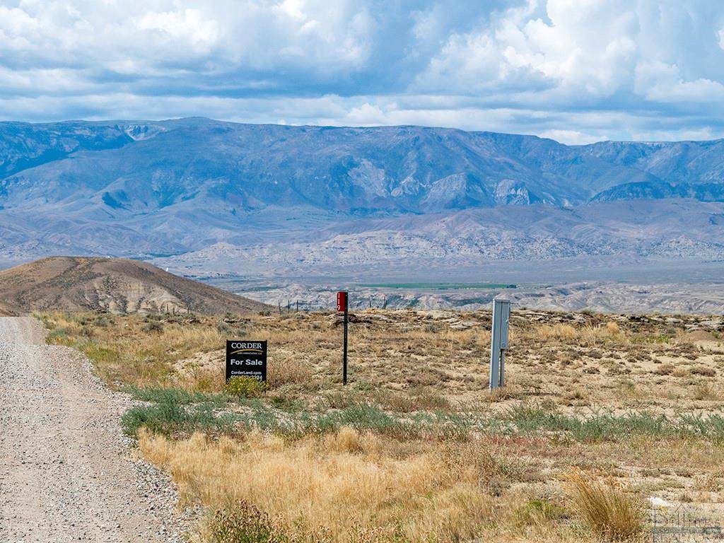 119 Overland Trail - Photo 1