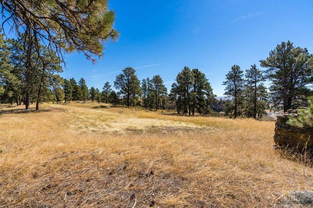 TBD (Lot 29) Chief Whitebird Trail - Photo 1