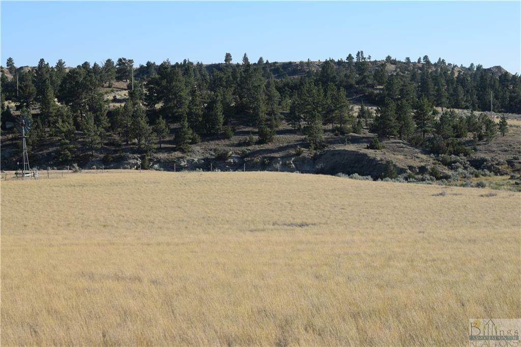 TBD Roundup Mesa - Photo 1