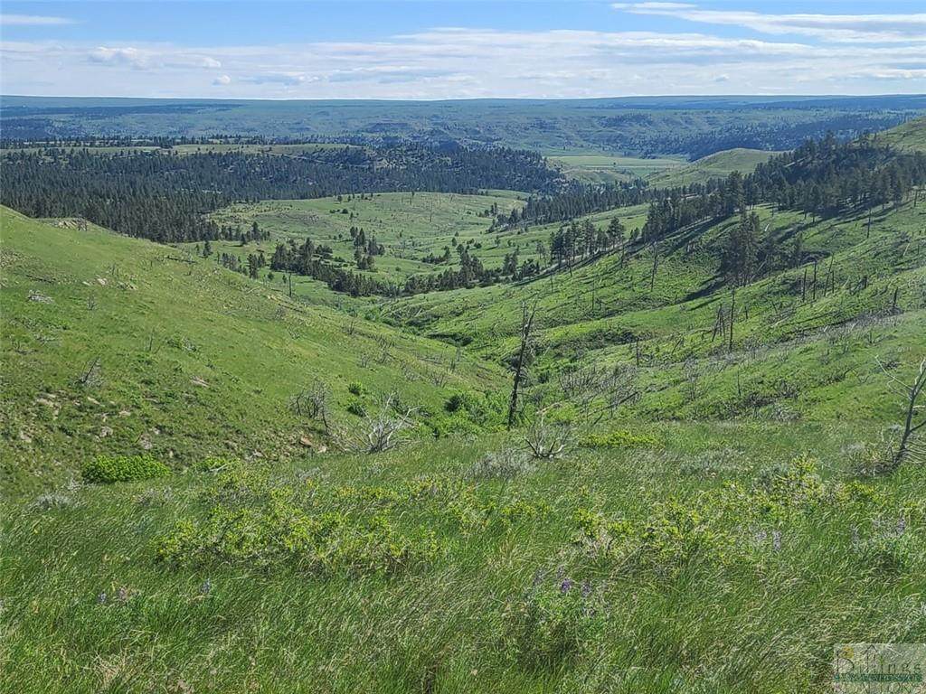27 Kestrel Trail - Photo 1