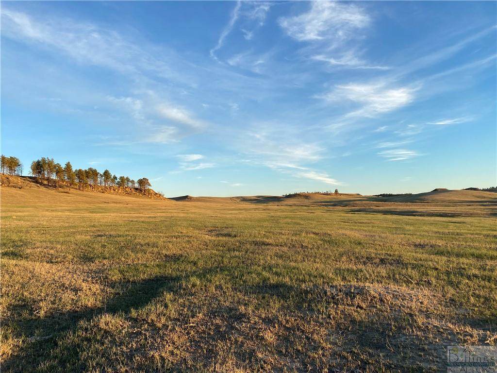 NHN Lodgepole Road - Photo 1