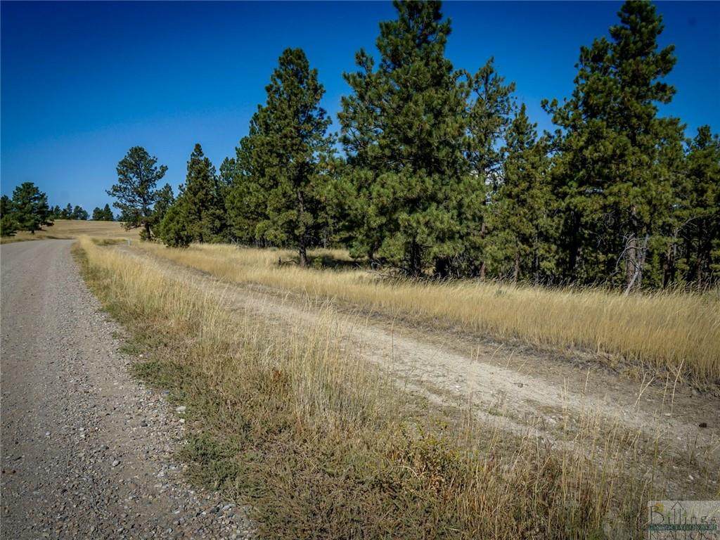 130 Bundy Circle - Photo 1