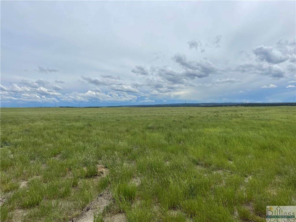 TBD Anderson Road - Photo 1