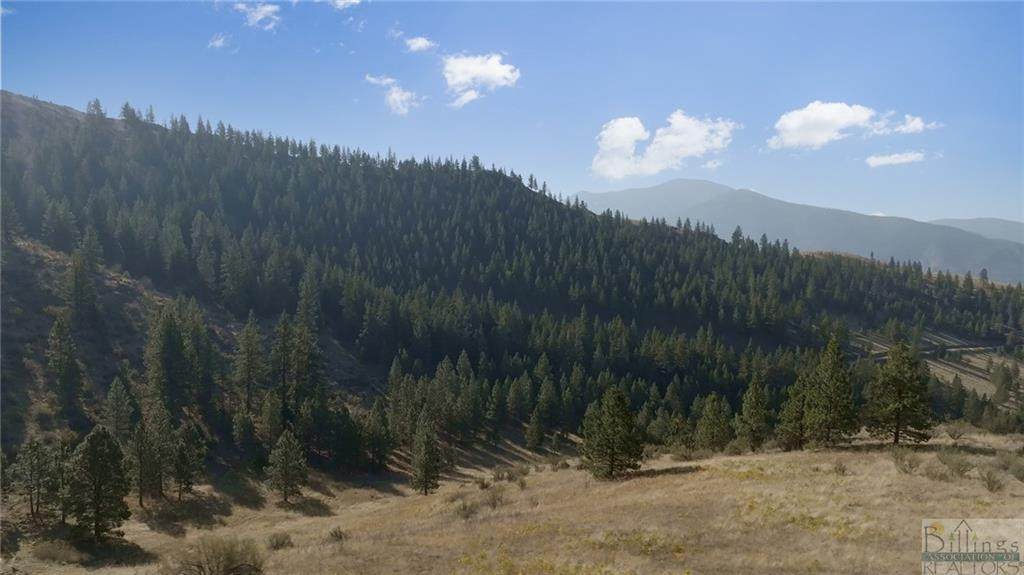 Nhn Deemer Ridge Road - Photo 1