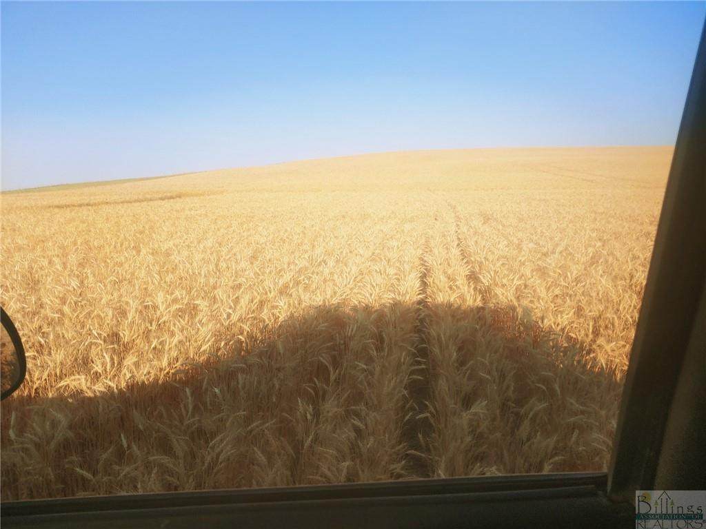 6 Miles South Chalk Butte Road - Brockway - Photo 1