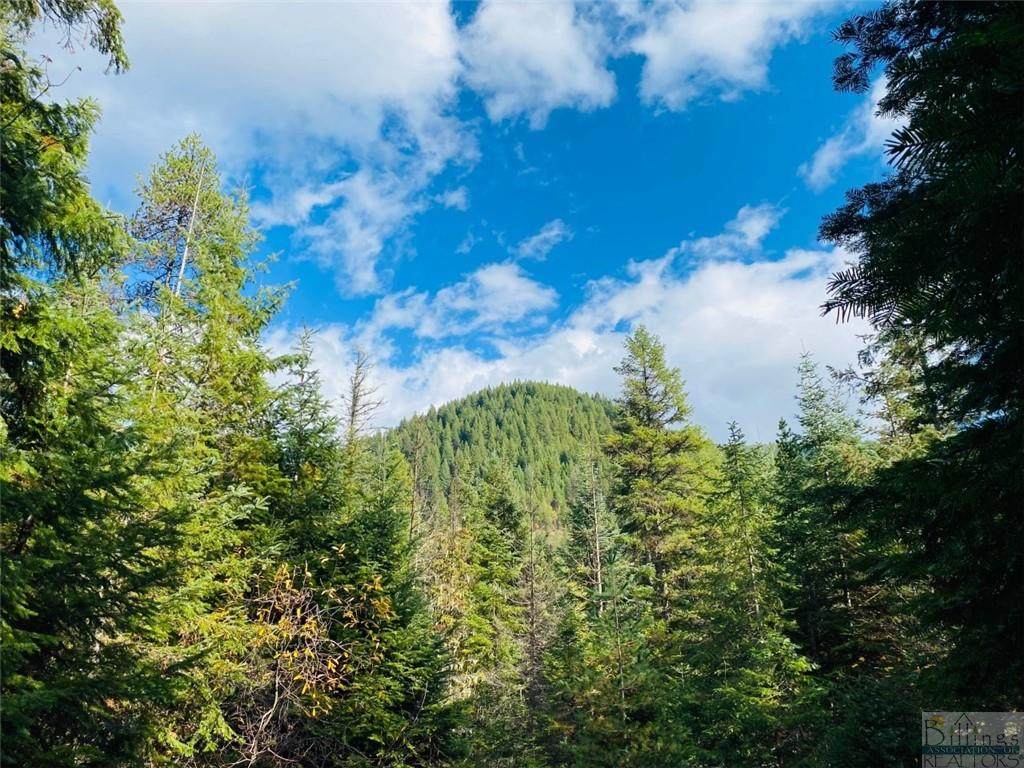 Nhn Pilgrim Creek - Photo 1