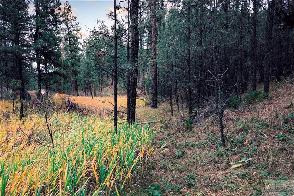 TBD Smith Road - Photo 1