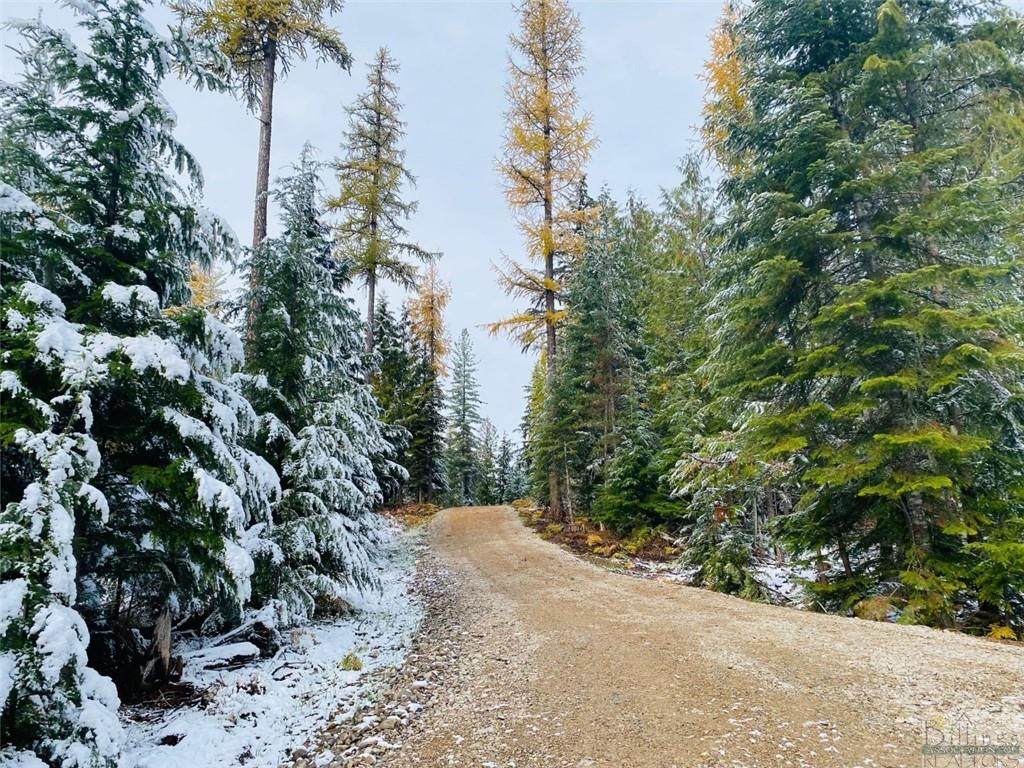 Nhn Mt Hwy 200 - Photo 1