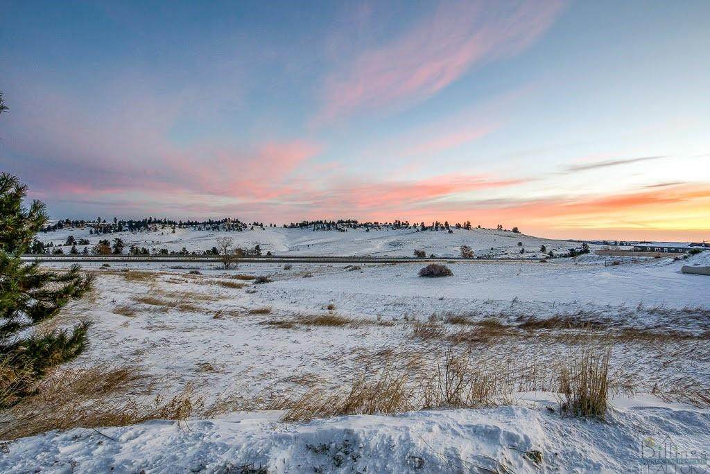 TBD Old Montana Road 3B - Photo 1