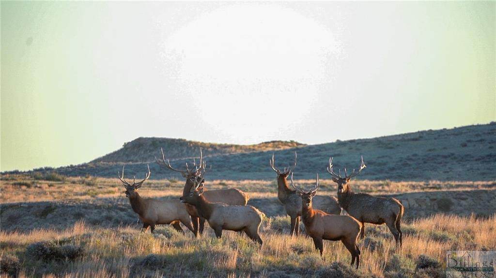 TBD South Fork Lodgepole Road - Photo 1