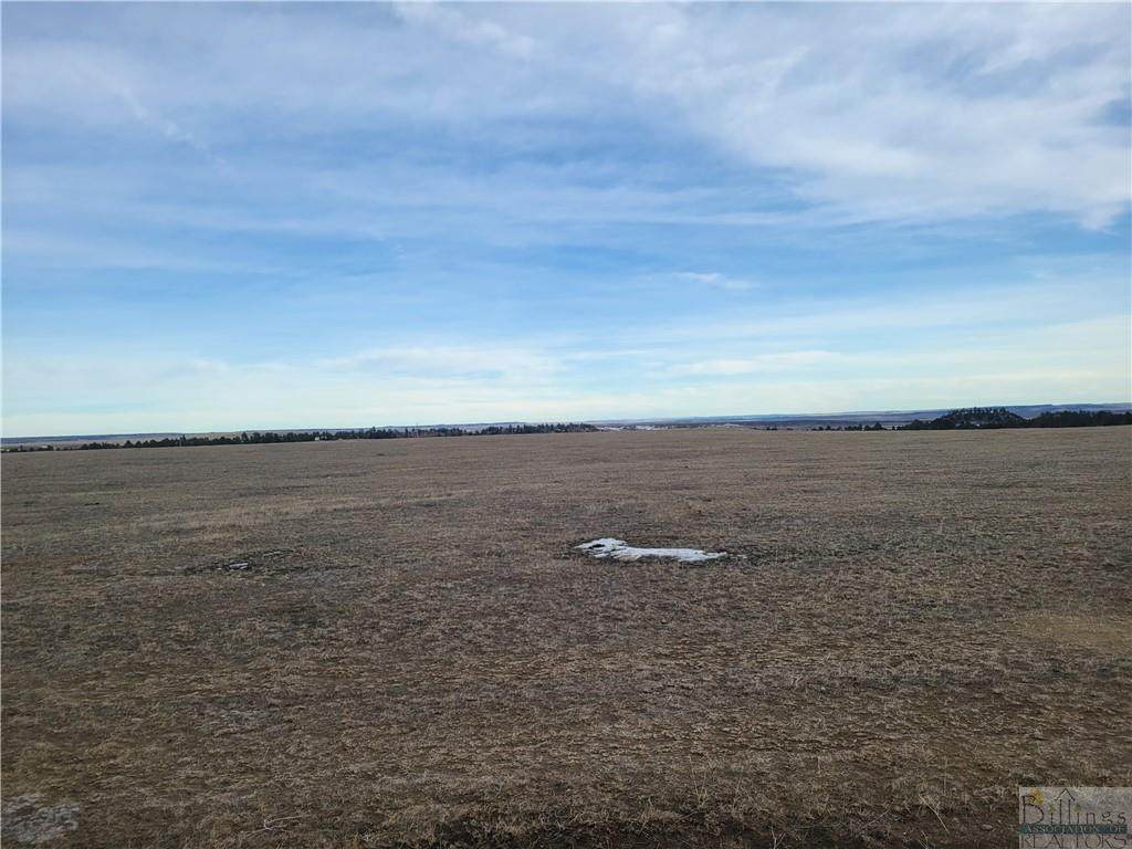 NHN (Trac 35) Basin Acres Road - Photo 1