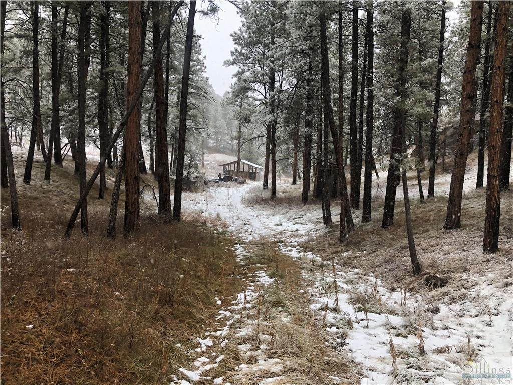 60 Bear Road - Photo 1